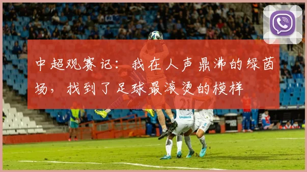 中超观赛记:我在人声鼎沸的绿茵场,找到了足球最滚烫的模样